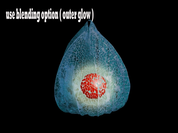 Creation of heart: Step 4